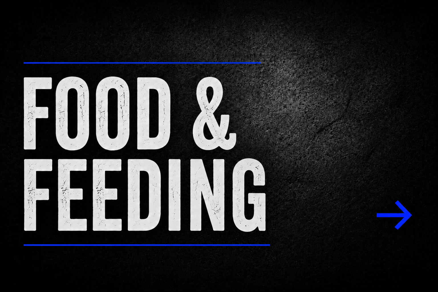 Food & Feeding