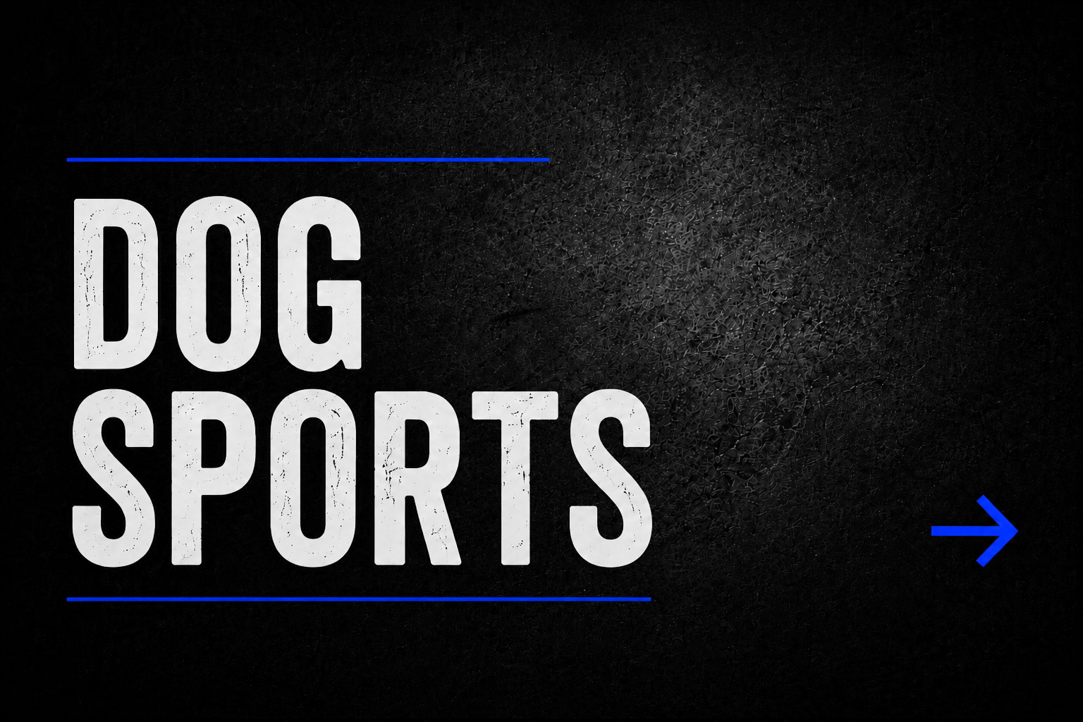 Dog Sports