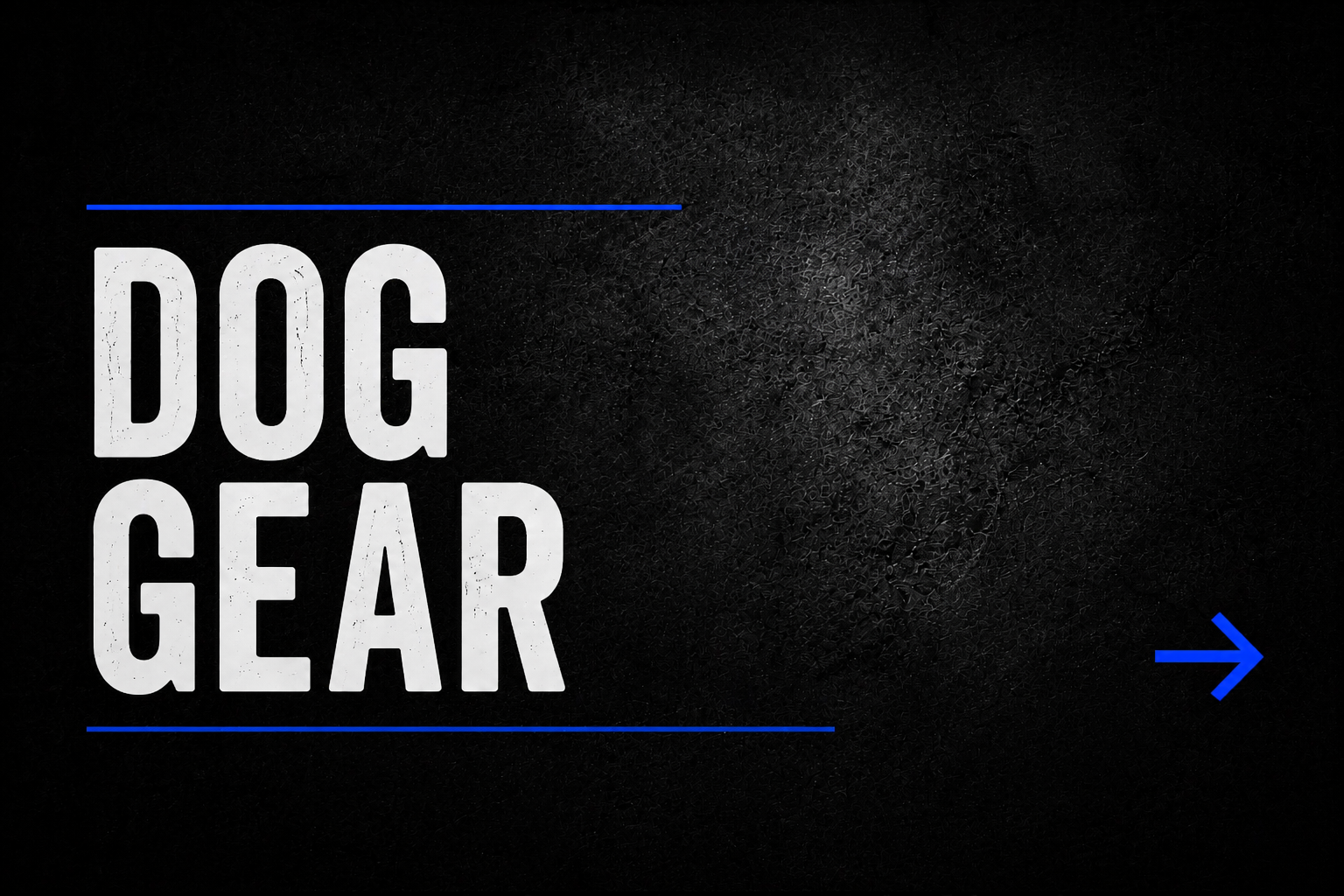 Dog Gear