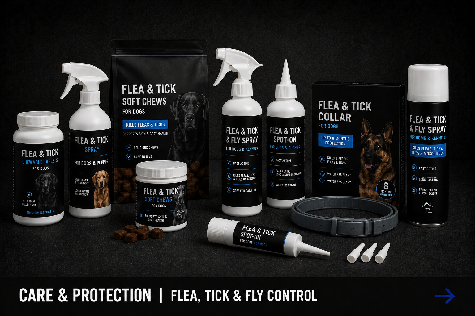 Care & Protection