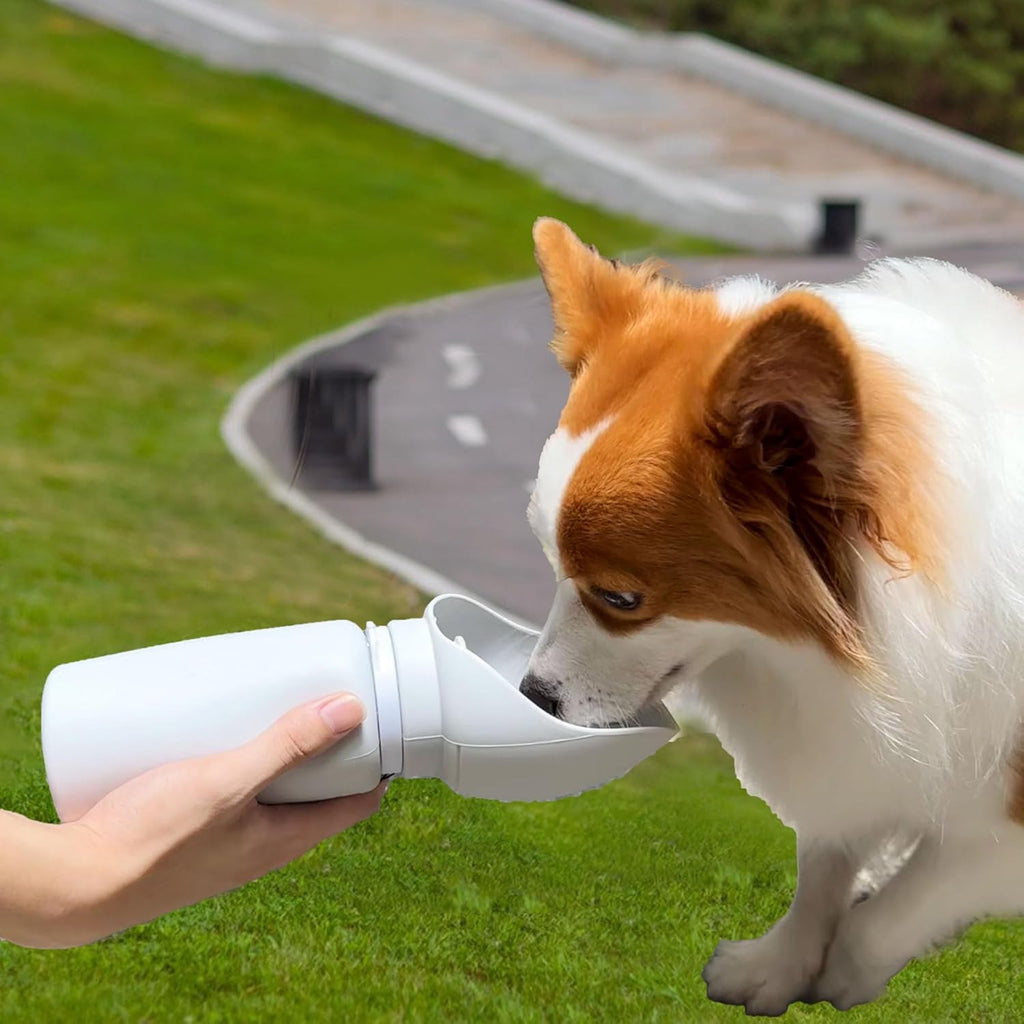 Portable Dog Water Bottle 550ML Collapsible Travel Bowl Leakproof