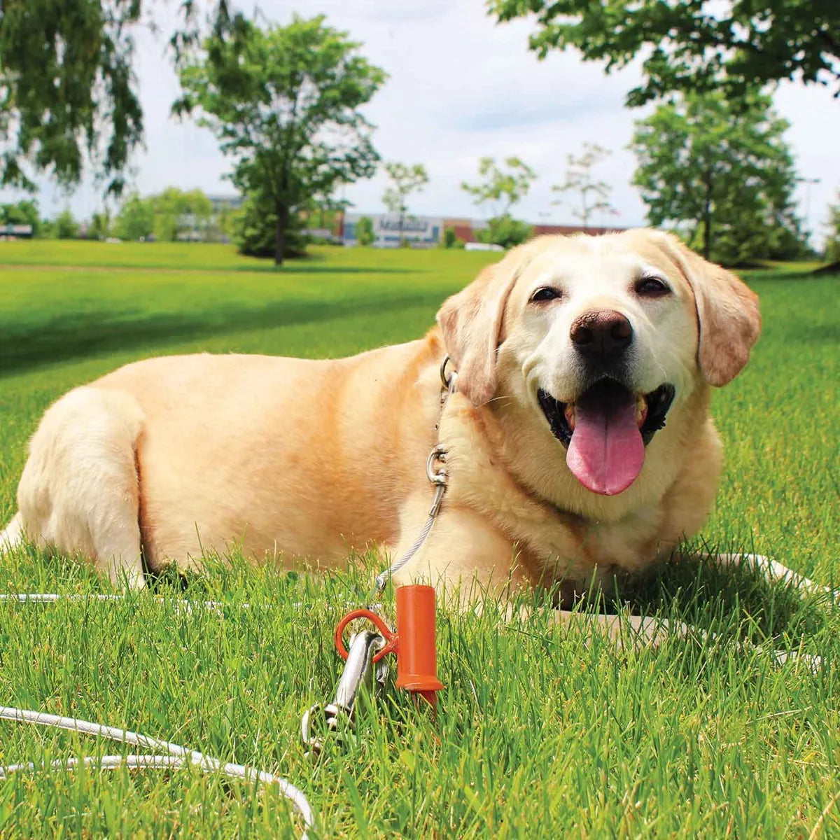 Boss Pet Interlocking 360 Tie Out Dog Stake 26" Heavy Duty Steel Orange