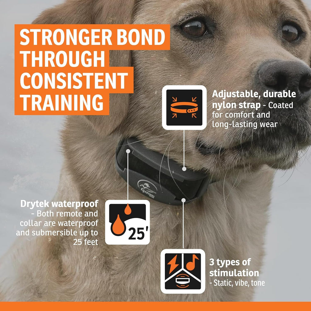 Remote Dog Training Collar Waterproof 500 Yard E Collar for Dogs