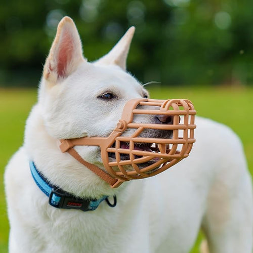 Baskerville Classic Basket Muzzle - Dog can Pant and Drink, Prevents Biting and Food Waste Scavenging, Strong TPR, Breathable Dog Training Muzzle for Long Nosed Medium to Large Dogs (Size 7)