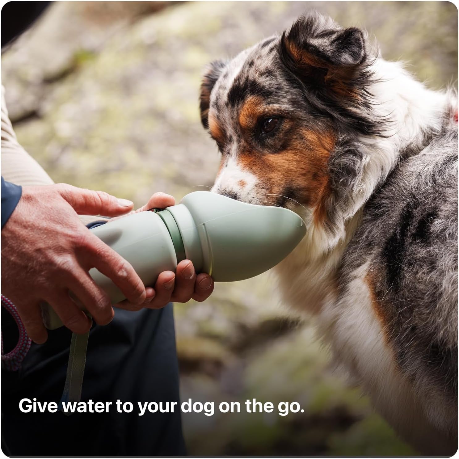 Portable Dog Water Bottle 750ML Collapsible Travel Bowl Leakproof