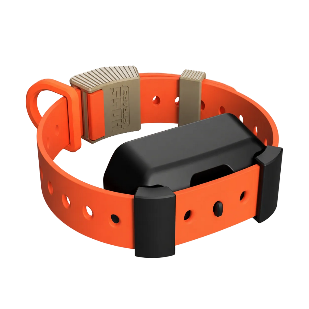 Training Collar Setup