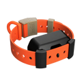 Training Collar Setup