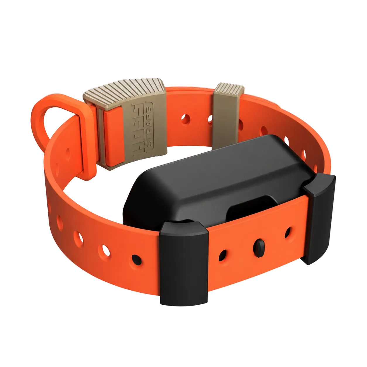 Training Collar Setup