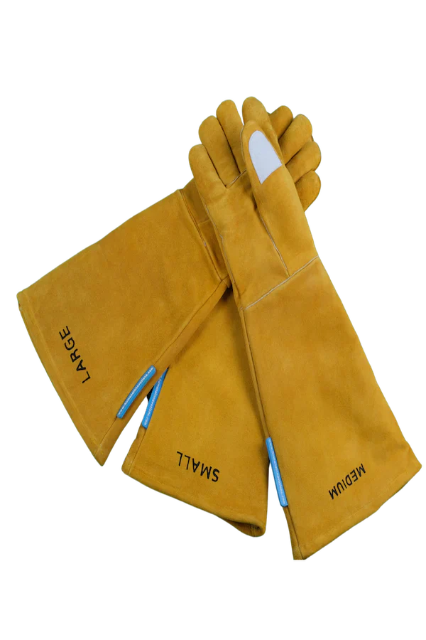 Bite Boss Gloves