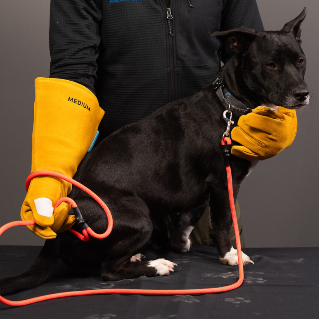 Bite Boss Gloves