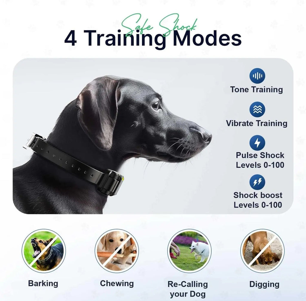 Dog Training Collar for up to 2 Dogs Remote Waterproof Rechargeable 1 Mile Range