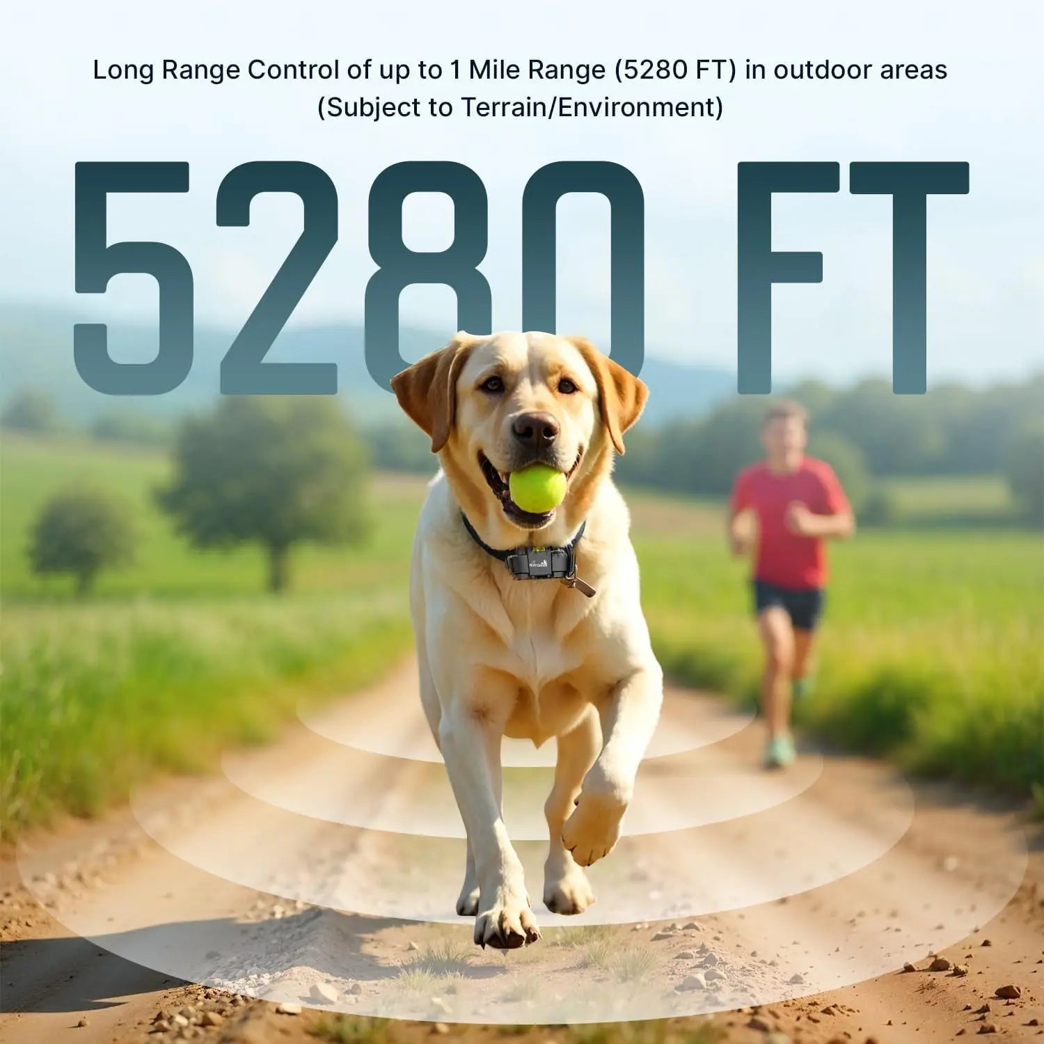 Dog Training Collar for up to 2 Dogs Remote Waterproof Rechargeable 1 Mile Range