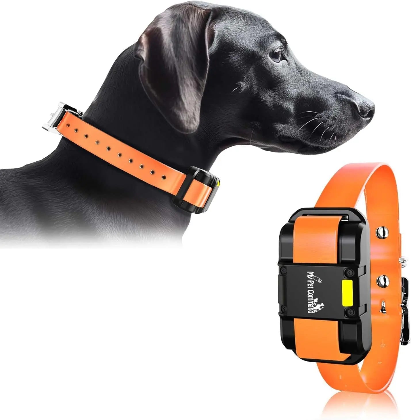 Dog Training Collar for up to 2 Dogs Remote Waterproof Rechargeable 1 Mile Range