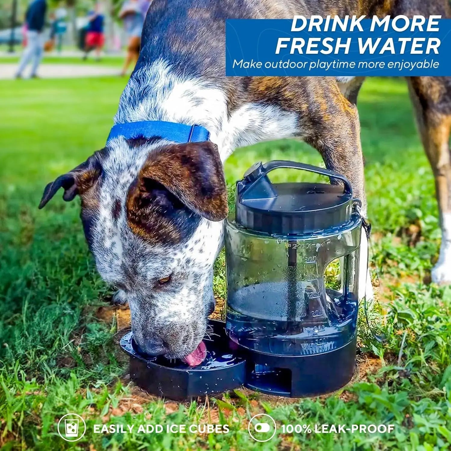 Portable Dog Travel Water Bottle Leak Proof Bowl for Hiking Large Dogs