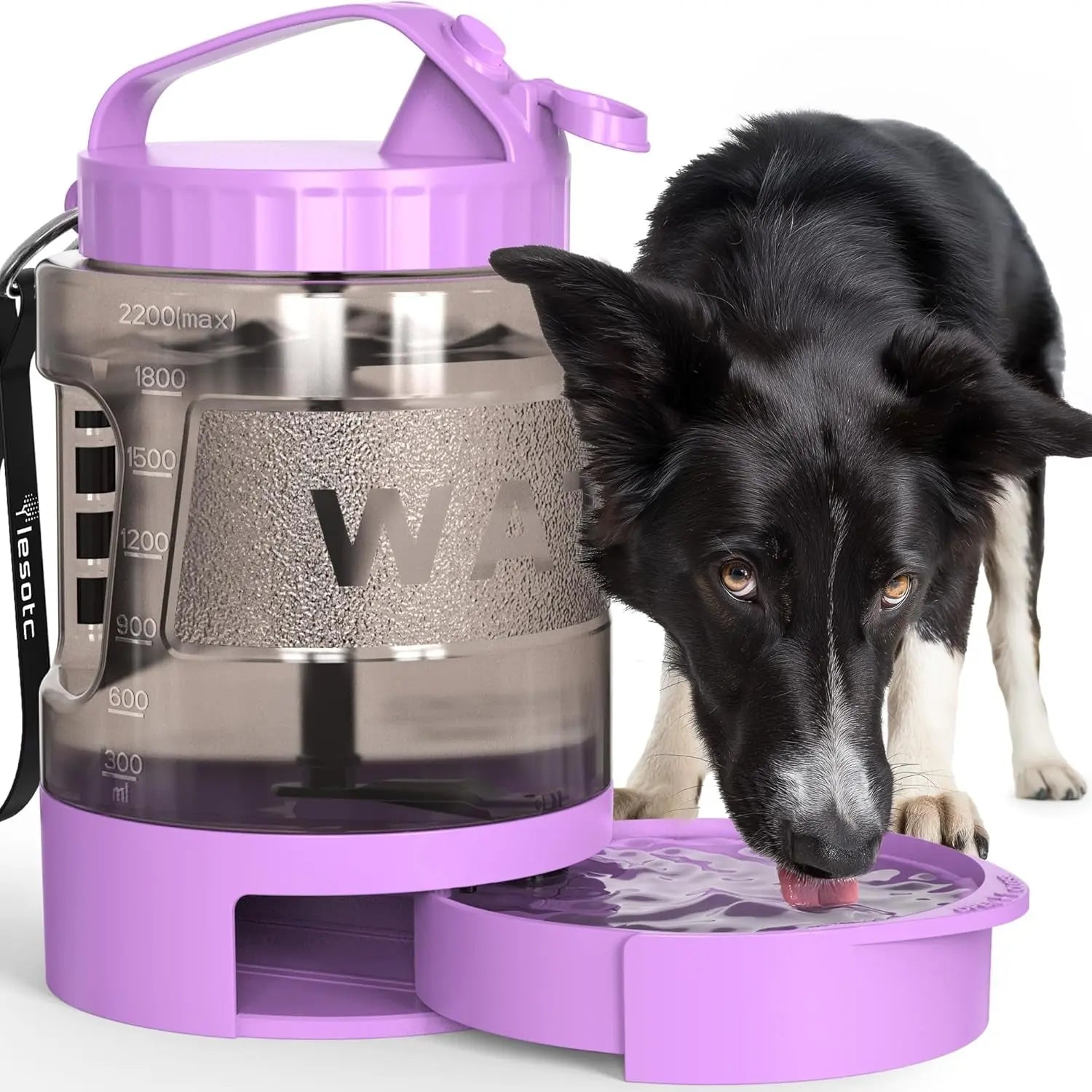 Portable Dog Travel Water Bottle Leak Proof Bowl for Hiking Large Dogs
