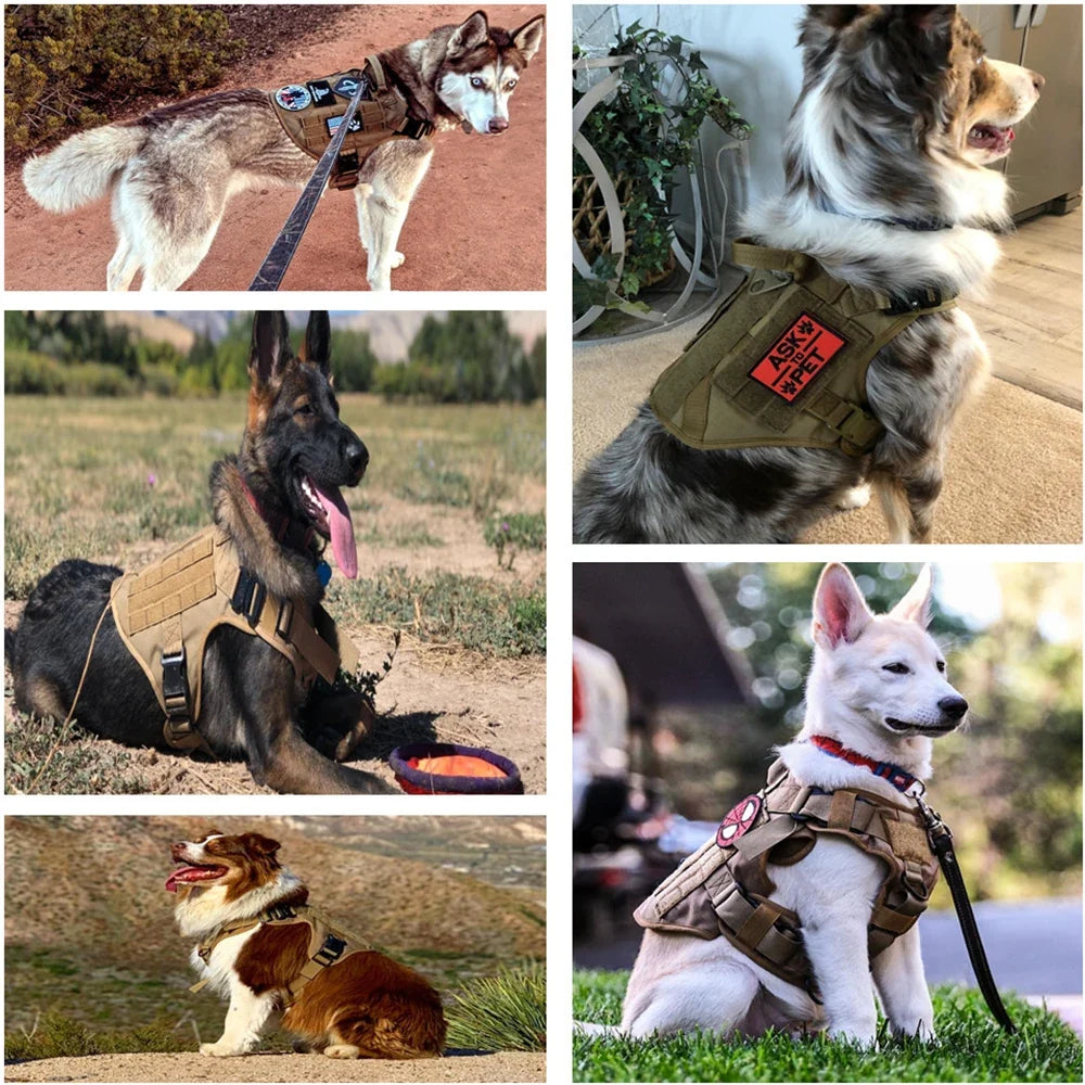 Dog Harness for Large Dogs Collar Leash Molle Pouch Military Harnesses French Bulldog Pet Tactical Training Vest Dog Accessories