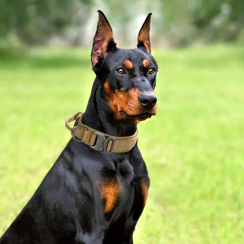 Tactical Dog Collar Adjustable Military Training Nylon Dog Collar with Control Handle Heavy Quick-Release Metal Buckle for Dogs