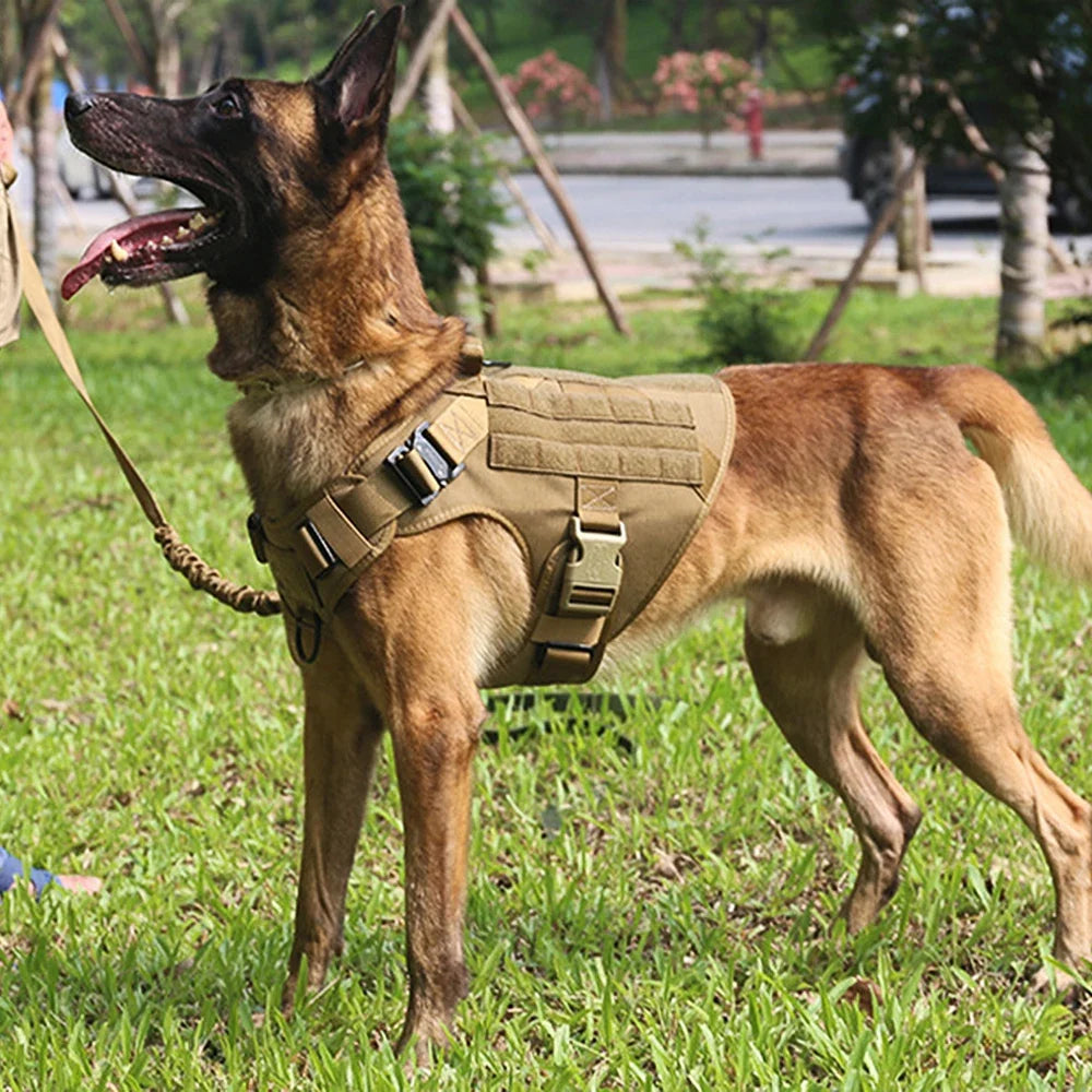 Dog Harness for Large Dogs Collar Leash Molle Pouch Military Harnesses French Bulldog Pet Tactical Training Vest Dog Accessories