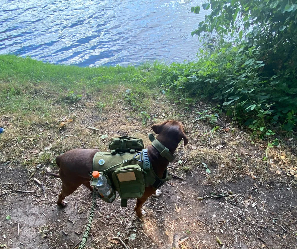 Military Large Dog Harness Collar Leash Bags Patches Set Pet Malinois Training Vests Tactical Dogs Harnesses Accessories