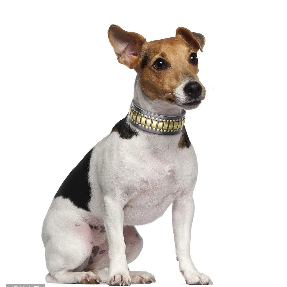 Genuine Leather Big Dog Collar 2inch Wide Diamond Dog Collars Durable Spike Pet Necklace Luxury for Medium Large Dogs Pitbull