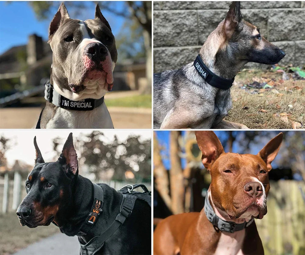 Tactical Dog Collar 1pc Durable Nylon Military Collars Outdoor For Medium Large Dogs Training Walking Working Pet Products