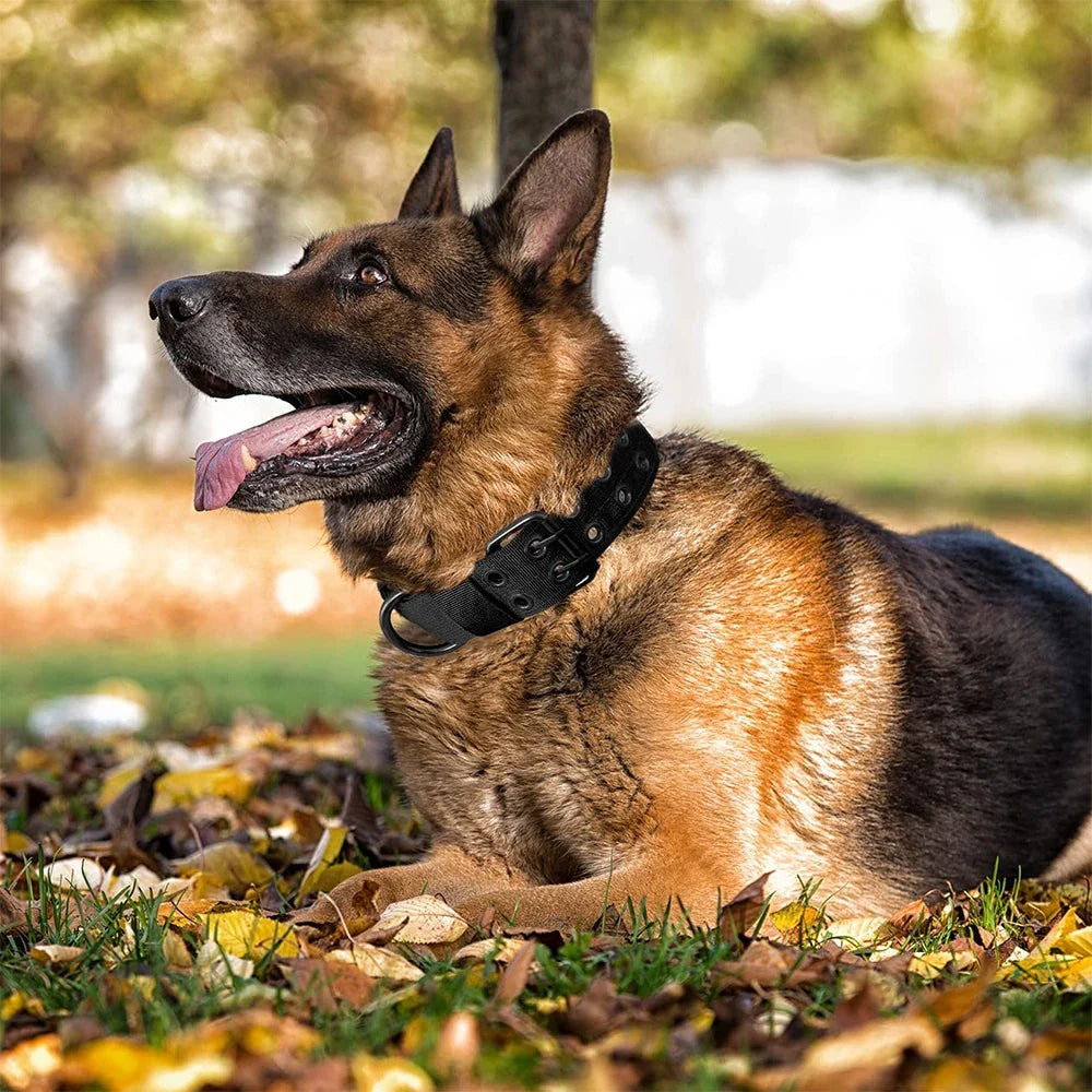 Tactical Dog Collar 1pc Durable Nylon Military Collars Outdoor For Medium Large Dogs Training Walking Working Pet Products