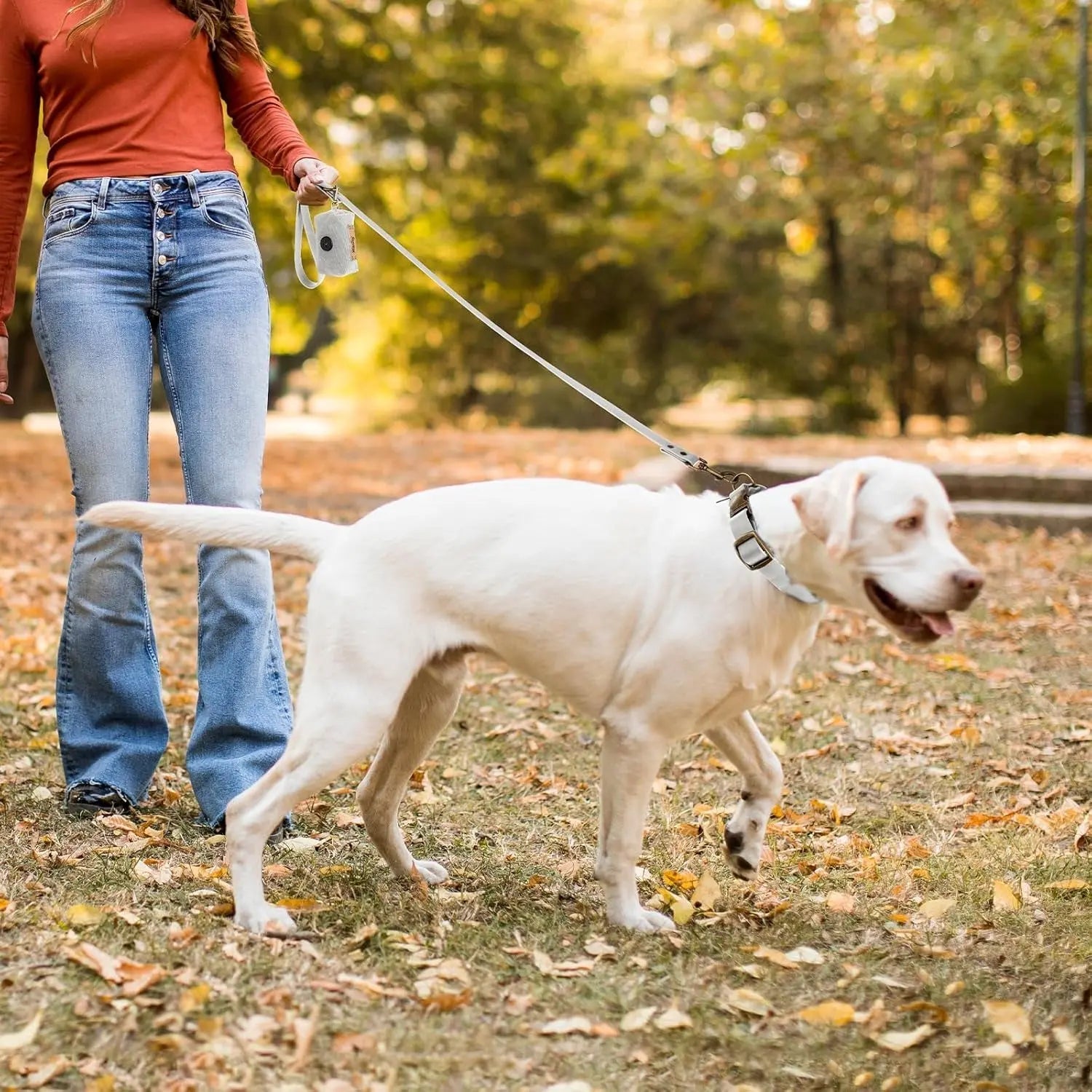 Waterproof Dog Collar & 4FT Leash Set Adjustable XS–XL with Poop Bag