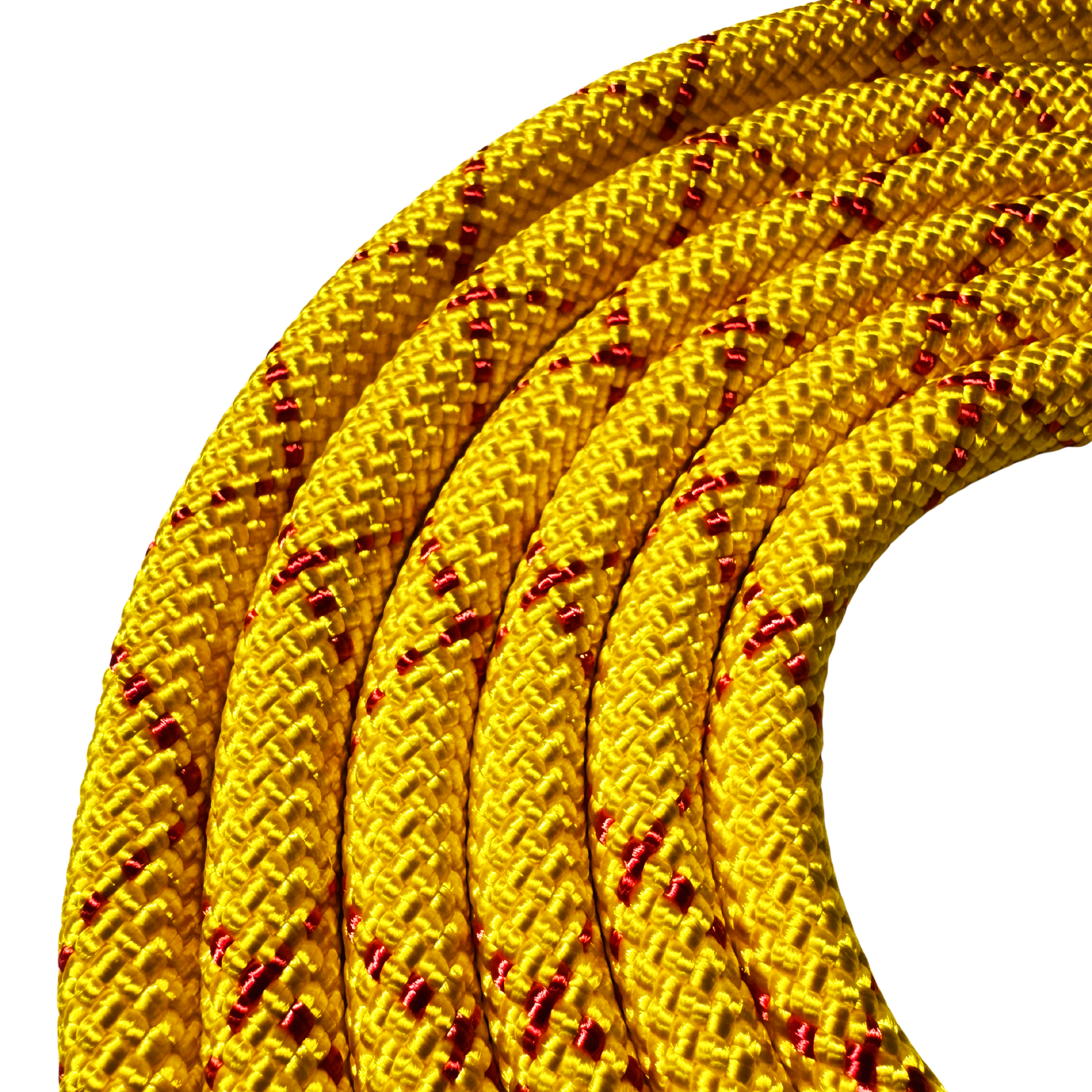 Dual Control Leash, 7'