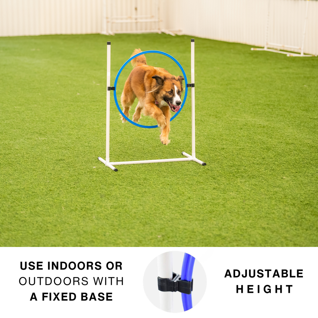 Better Sporting Dogs 7 Piece Dog Agility Equipment Set –  with Jumps, Tunnels, Pause Box & Weave Poles